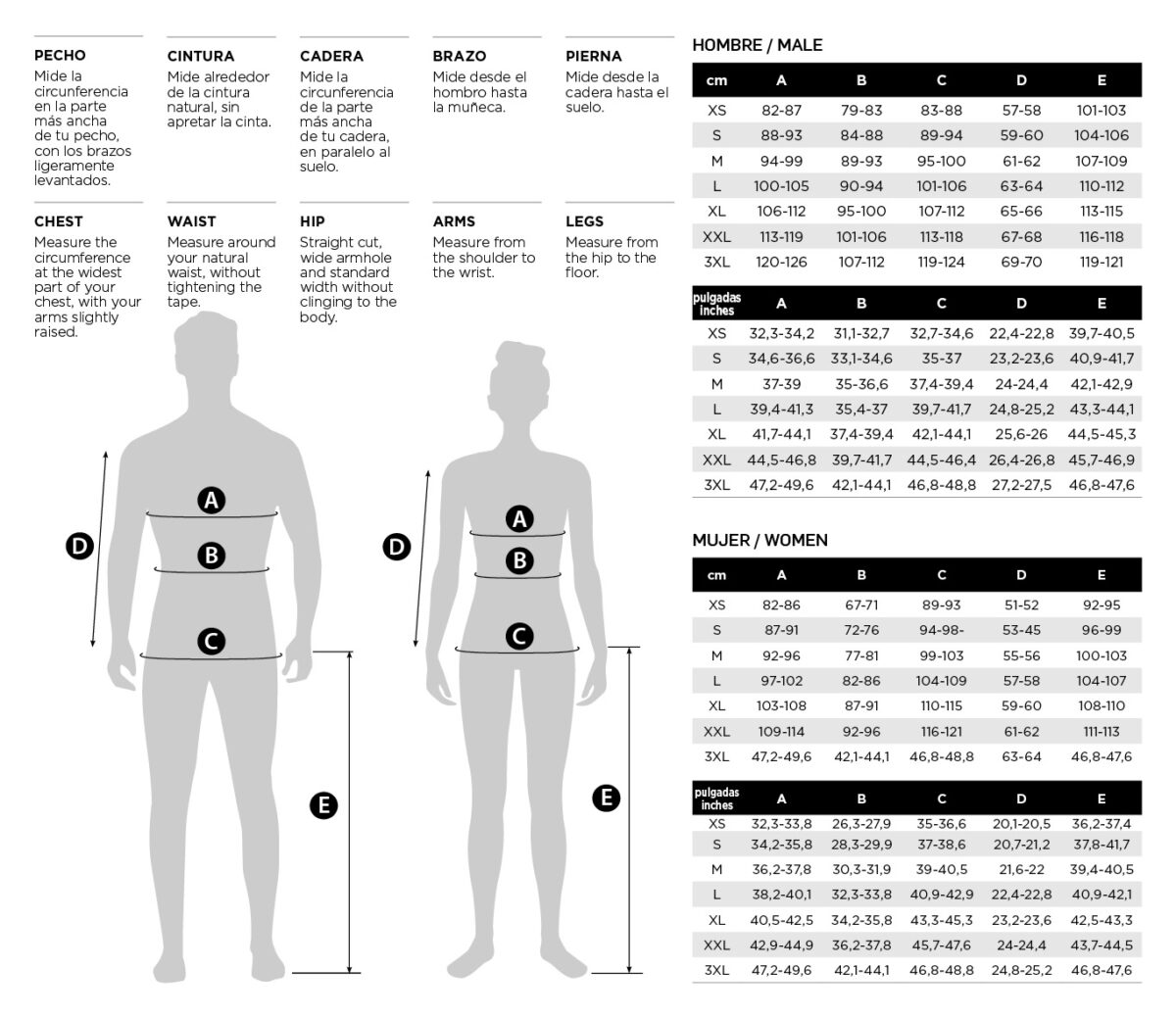 web lorpen BASELAYERS 2024 12 1024 x 886